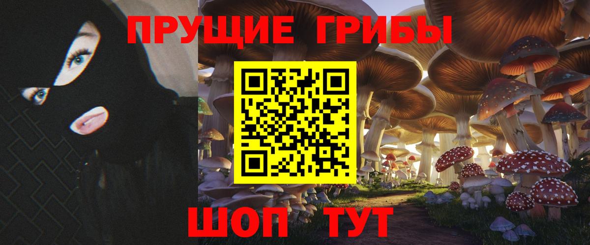 Новоалександровск  Псилоцибиновые грибы прущие грибы  Вход с VPN 